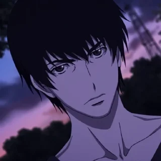 🌟 emoji Zankyou no Terror. Telegram sticker 14 of 45