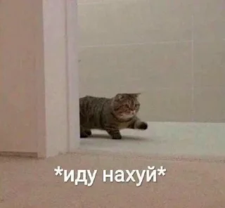 Sticker from стикеры мебели @TgEmodziBot