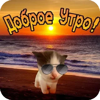 🔥 emoji Стикеры HNKNTOCа @ne_chempion Telegram sticker 3 of 60