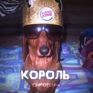 Sticker from Стикеры отчима @TgEmodziBot