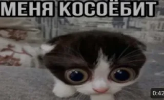 Sticker from Стикеры Ghost'а @TgEmodziBot