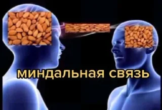😏 emoji Стикеры HNKNTOCа @ne_chempion Telegram sticker 7 of 60
