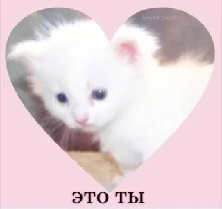 💟 emoji swag/random  @lalapokkm_zxc Telegram sticker 3 of 66