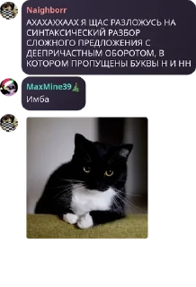 🌟 emoji Шиза @Deku39 1 часть Telegram sticker 7 of 120