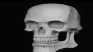 Sticker from Skull