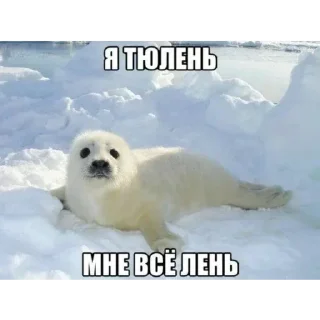 Sticker from БОЛЬШЕ ⇨ @FULLSITION