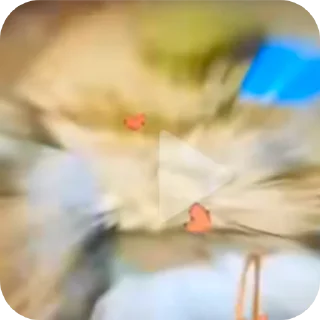 🤲 emoji Zov режет x∆xl∆v Telegram sticker 24 of 110