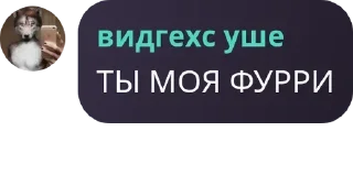 Sticker from логово асуры 🌹 pack by @QuotLyBot