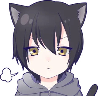 😤 emoji Black cat boy sticker • @punipuni_stickers Telegram sticker 1 of 24