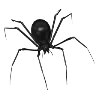 Sticker from 🕷️tussya🕷️