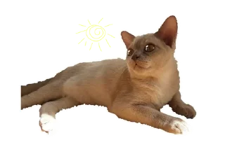Sticker from ♡Джусс и Джейлу♡