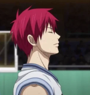 Akashi Seijuro sticker 4
