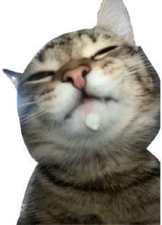 Sticker from Мая