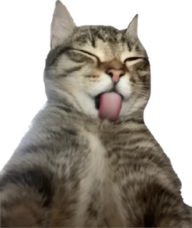Sticker from Мая