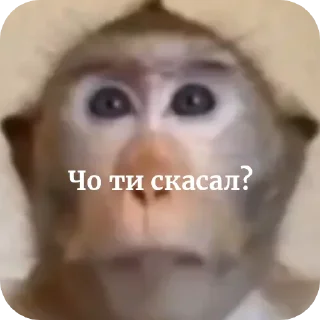 Sticker from Шелби брад