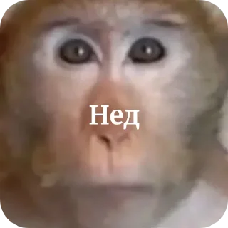 Sticker from Шелби брад