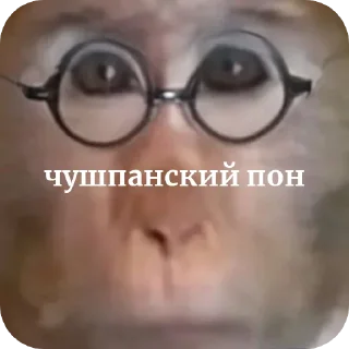Sticker from Шелби брад