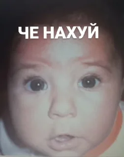 Sticker from РОТ ИБАЛ