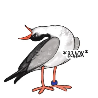 😮‍💨 emoji volost'birds Telegram sticker 5 of 6