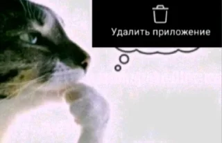 Sticker from довбоєбізм