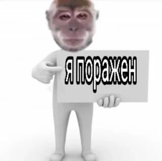 🐵 emoji Бибизяны Telegram sticker 20 of 46