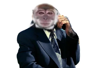 🐵 emoji Бибизяны Telegram sticker 4 of 46