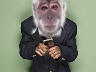 🐵 emoji Бибизяны Telegram sticker 5 of 46