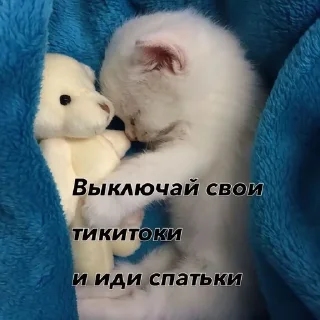 🌟 emoji Мутный, ты чтоле? Telegram sticker 3 of 32