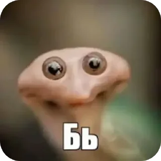 Sticker from БОЛЬШЕ ⇨ @CLOOBHUB МЕМЫ СТИКЕРЫ МОНСТРЫ КОММАНДОС