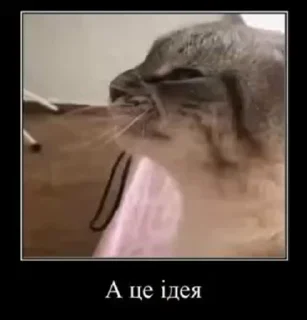 💡 emoji На все случаи жызы @maximkatz @alexandrshtefanov @eschulmann Telegram sticker 7 of 50