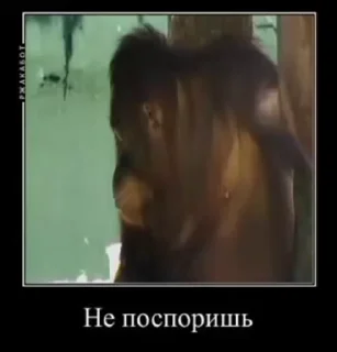 😐 emoji На все случаи жызы @maximkatz @alexandrshtefanov @eschulmann Telegram sticker 9 of 50