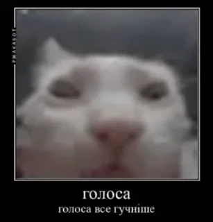 😵 emoji На все случаи жызы @maximkatz @alexandrshtefanov @eschulmann Telegram sticker 18 of 50