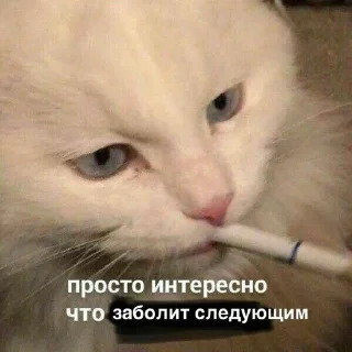 Sticker from Купердур