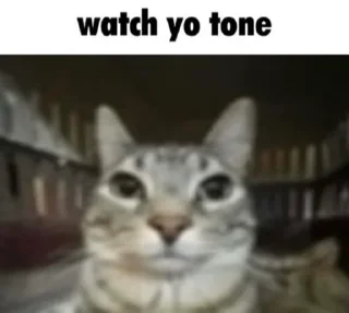 Sticker from ТЫ ЛОХ
