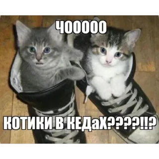 Sticker from RRaндомыч> @Em0dzi