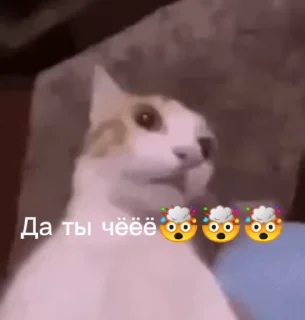 😱 emoji @SozdaiStickeriBot Стикер пак от Батончика Telegram sticker 5 of 49