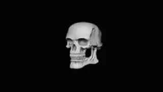 💀 emoji @SozdaiStickeriBot Стикер пак от Батончика Telegram sticker 12 of 49