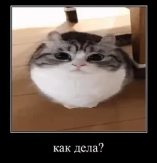 👋 emoji @SozdaiStickeriBot Стикер пак от Батончика Telegram sticker 14 of 49