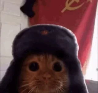😺 emoji @SozdaiStickeriBot Стикер пак от Батончика Telegram sticker 16 of 49