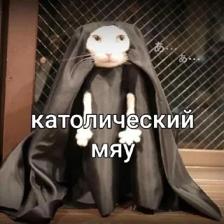 Sticker from Котята мяу от @asianMofu