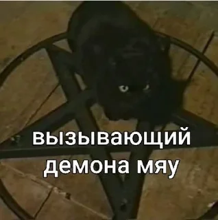 Sticker from Котята мяу от @asianMofu