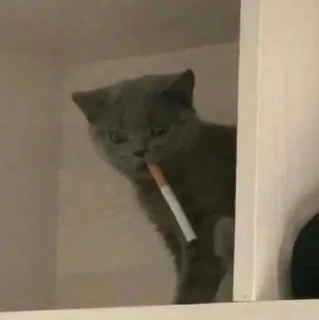 🚬 emoji стїкери @CnBscrapyard Telegram sticker 20 of 120