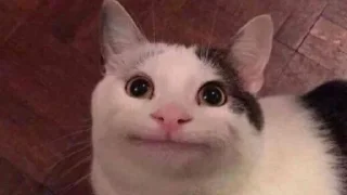 😐 emoji стїкери @CnBscrapyard Telegram sticker 12 of 120