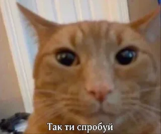 🐱 emoji стїкери @CnBscrapyard Telegram sticker 16 of 120