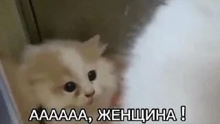 Sticker from для особливо важливих перегово