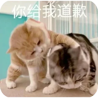 Sticker from 么马死