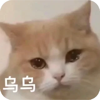Sticker from 么马死