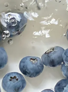 Sticker from ~ 𝚆𝚑𝚒𝚝𝚎 𝚏𝚕𝚘𝚠𝚎𝚛 ~🕊