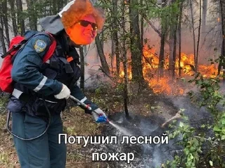 🌟 emoji полматери Telegram sticker 6 of 57