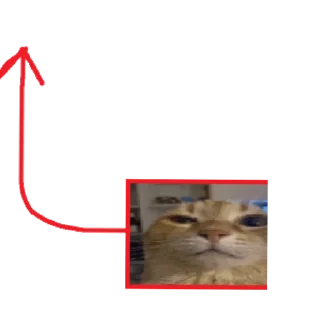 🐱 emoji пиздец блять сделано @machinakapec Telegram sticker 9 of 15